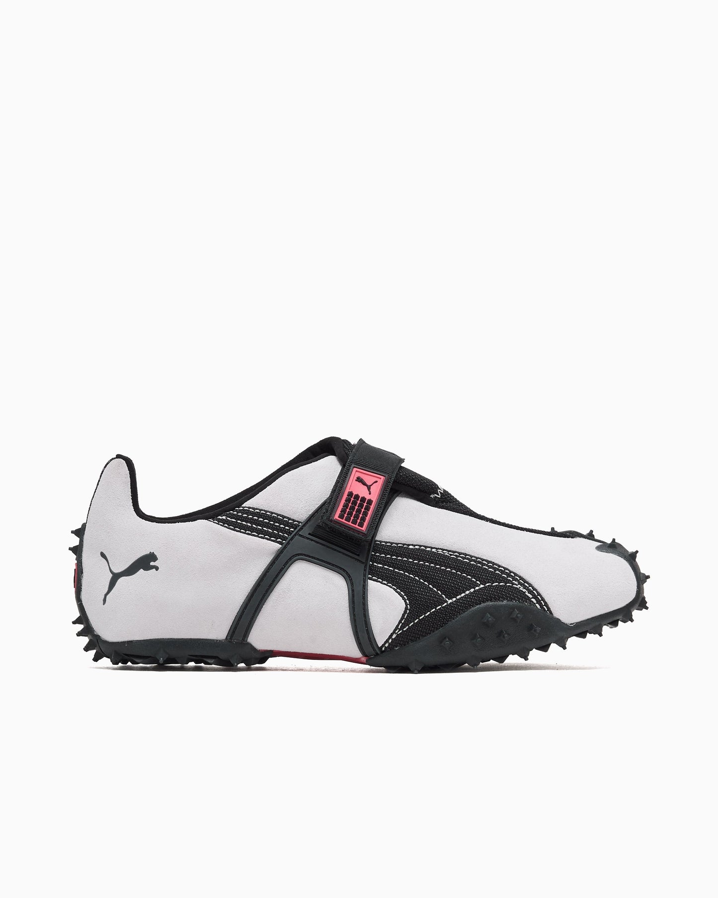 Puma RPT-2