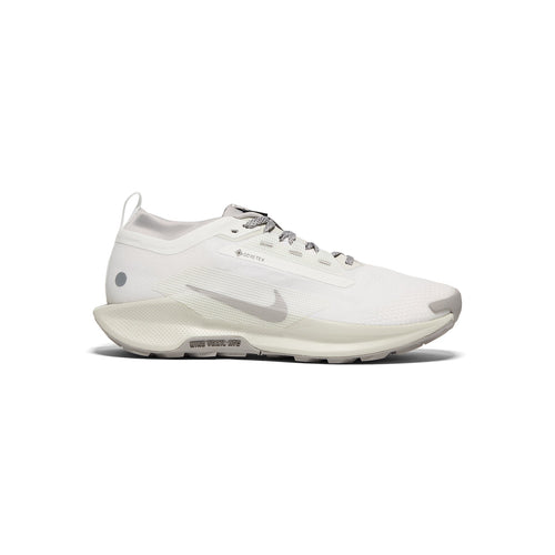 Nike Pegasus Trail 5 GORE-TEX SP (Summit White/College Grey/Light Bone)