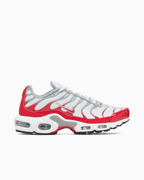 Nike Air Max Plus