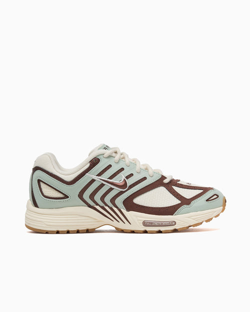 Nike Air Pegasus 2005 SE