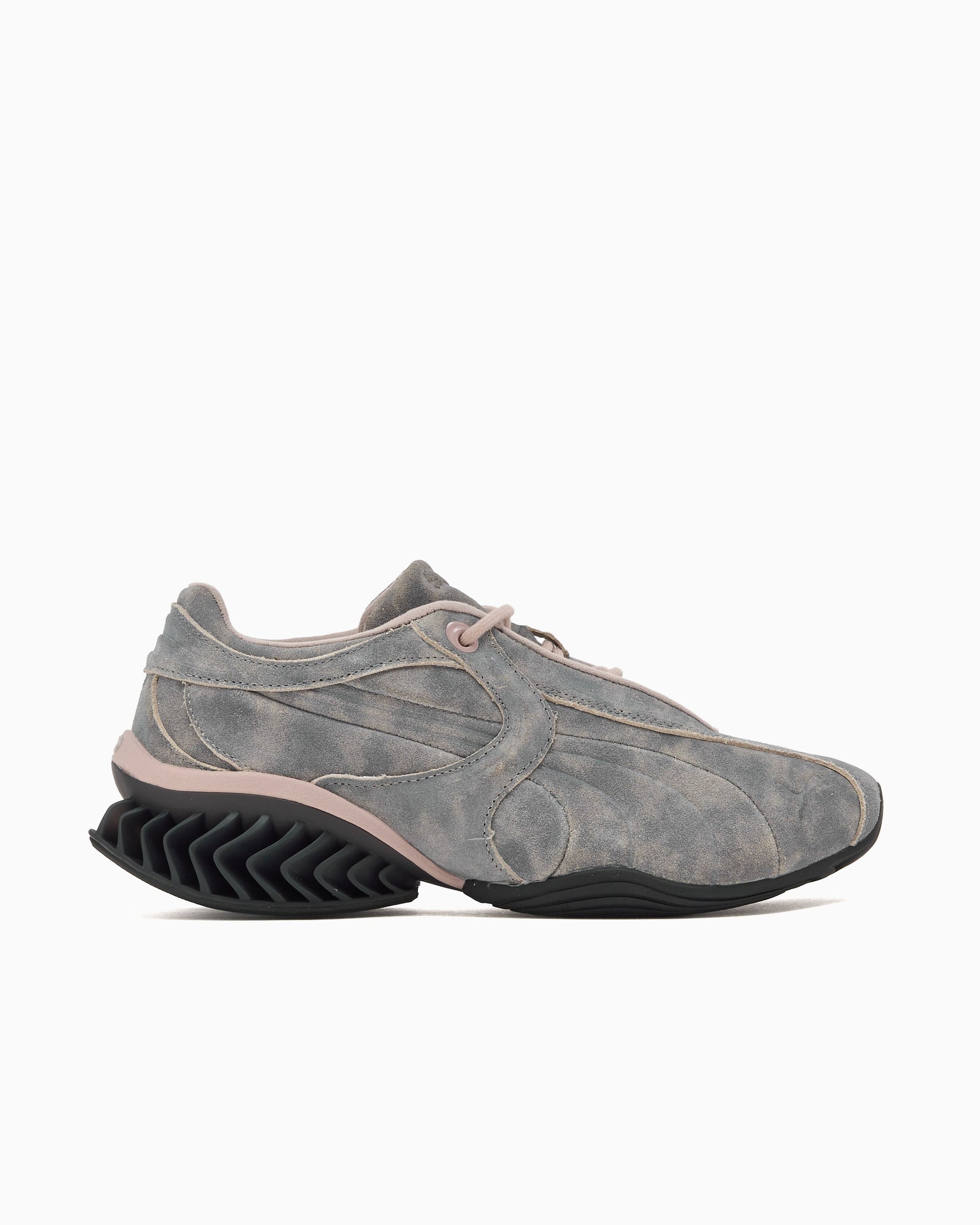 Puma Cell Geo 1 Biology