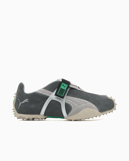 Puma RPT-2