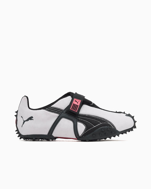 Puma RPT-2