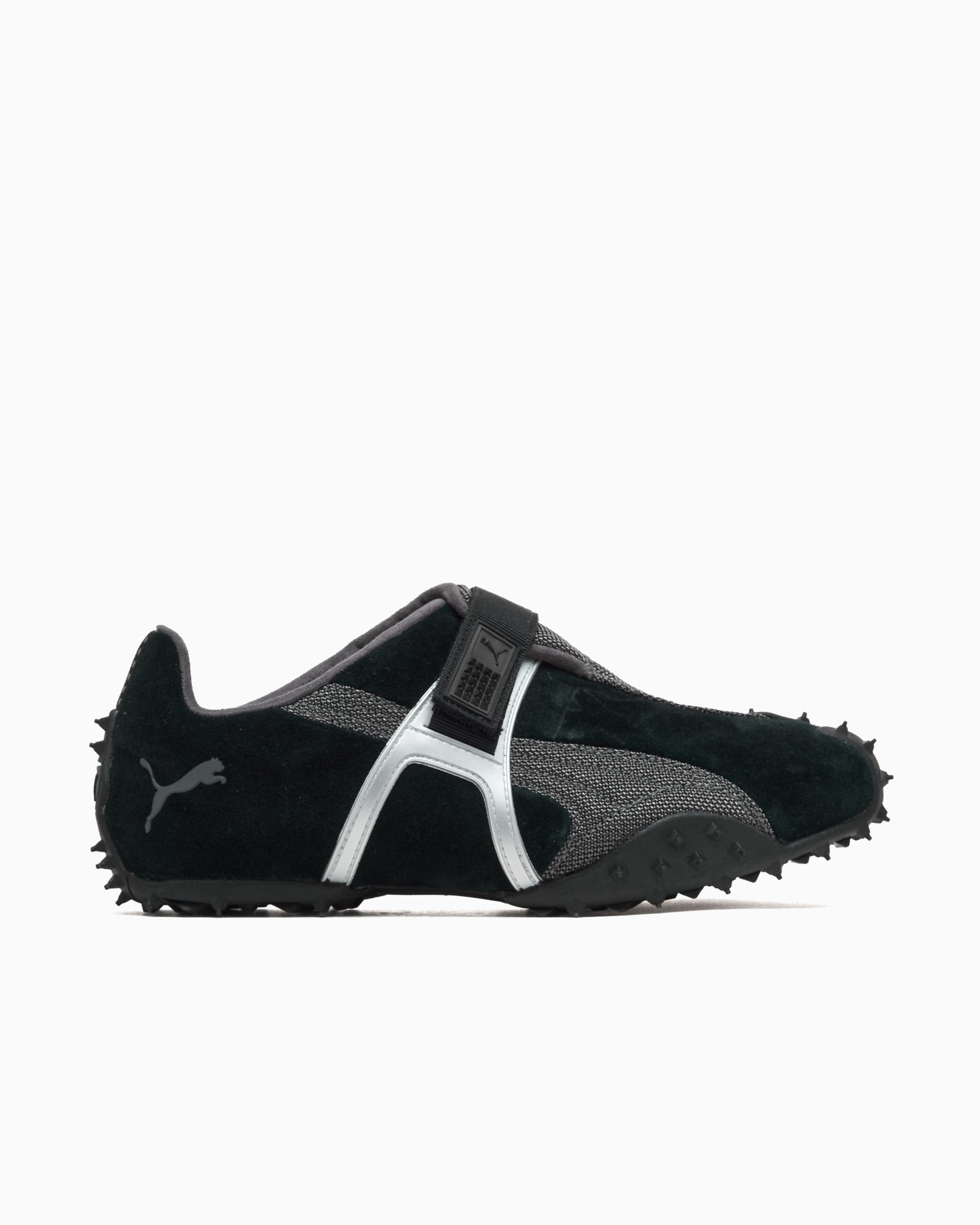 Puma RPT-2